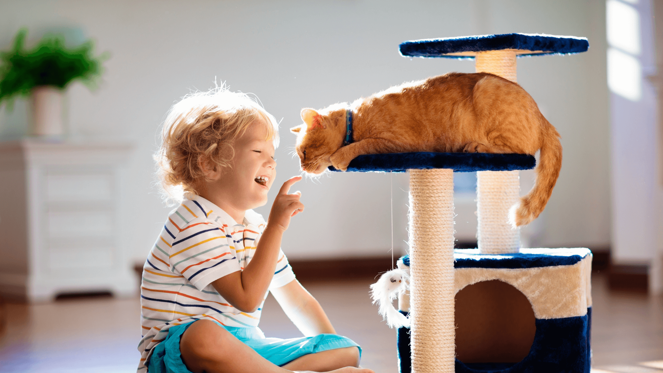 Coastal Home Care in Myrtle Beach